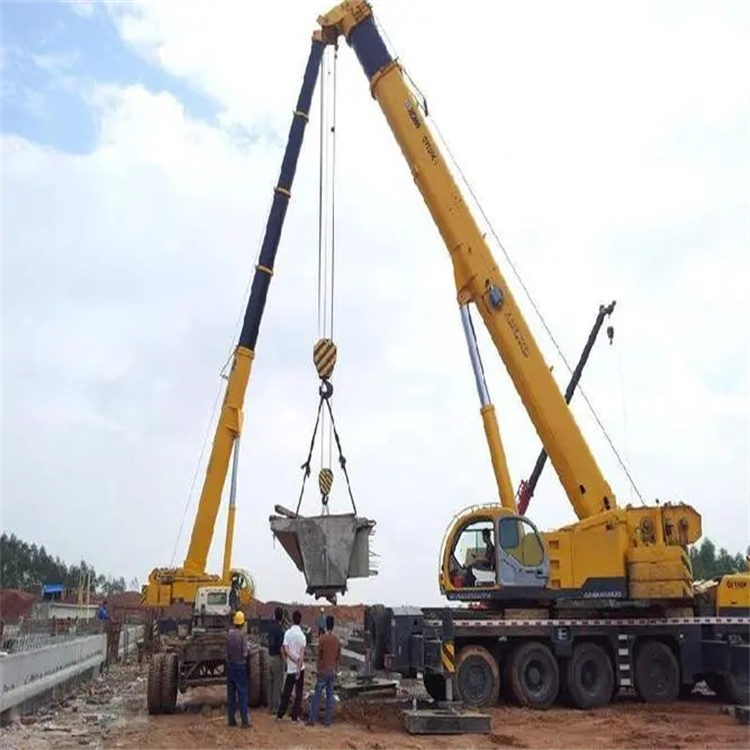 共青城小型吊机出租电话|厂房设备吊装方案|24小时服务覆盖